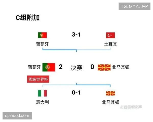 葡萄牙世界杯战术打法分析 葡萄牙世界杯战术打法分析